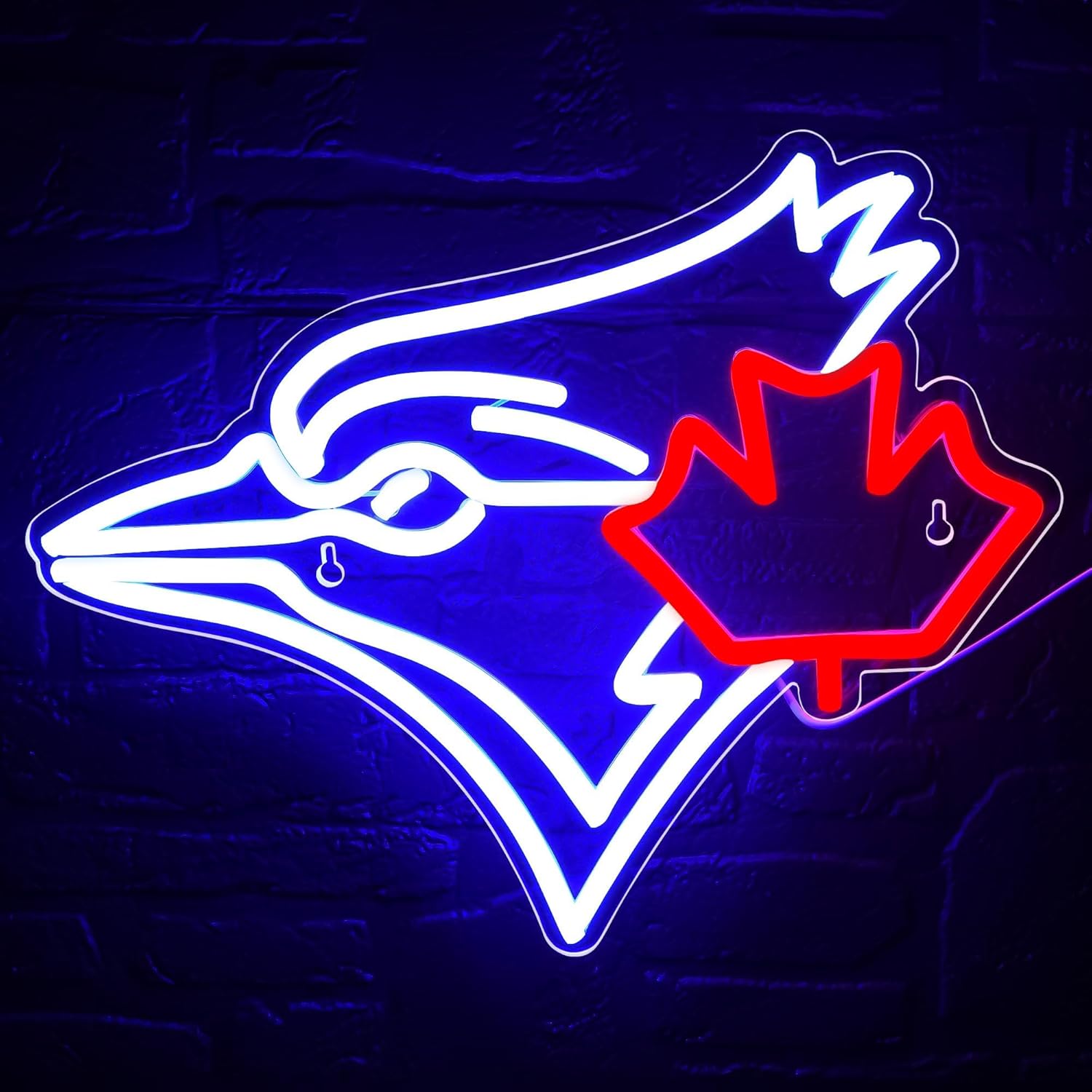 Outdoor Lighting Canada - USB с регулируемой яркостью Blue Jay
