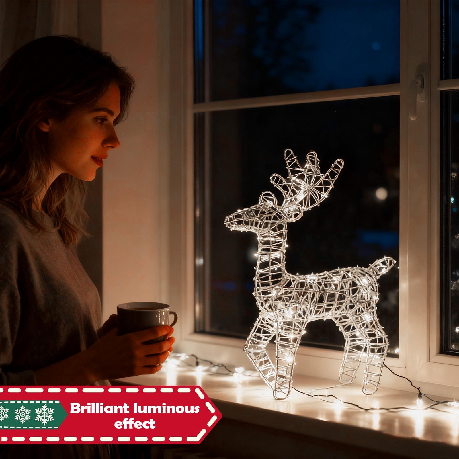 Освещенный рождественский олен – обзор и цена Outdoor Lighting Front Yard
