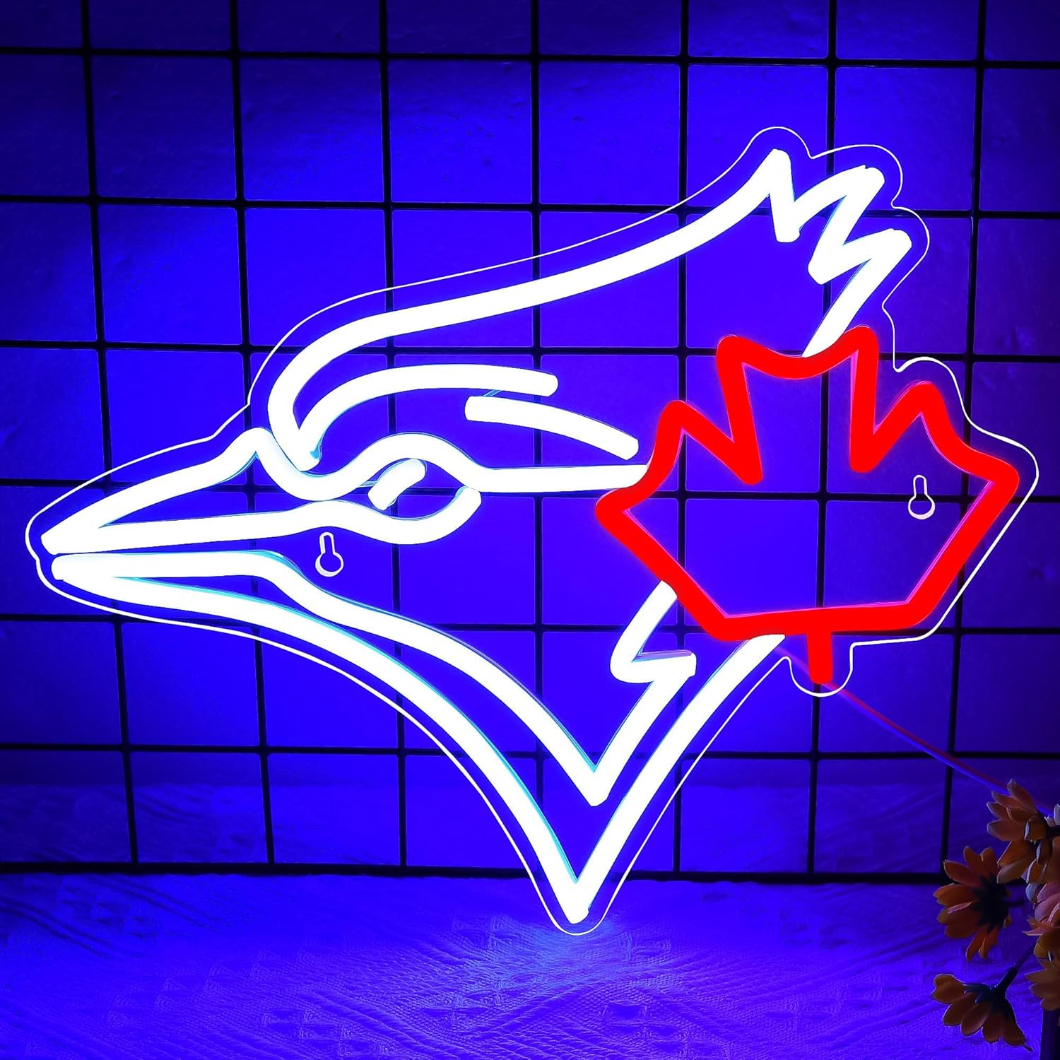 USB с регулируемой яркостью Bl – обзор и цена Outdoor Lighting Canada